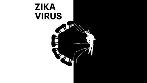 Zika-Banner_00000-1024x576